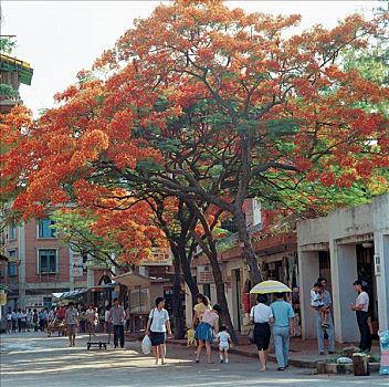xổ số miền nam thứ tư