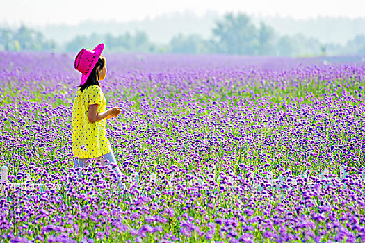 xo so ben tre