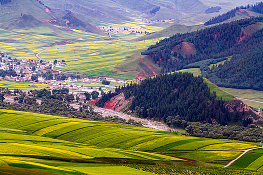cap lo bach thu hom nay