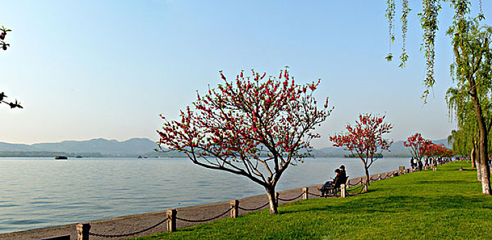 xs đa năng