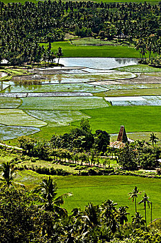 soi cau de bach thu