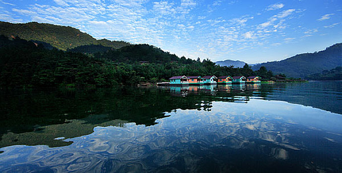 lo gan rong bach kim