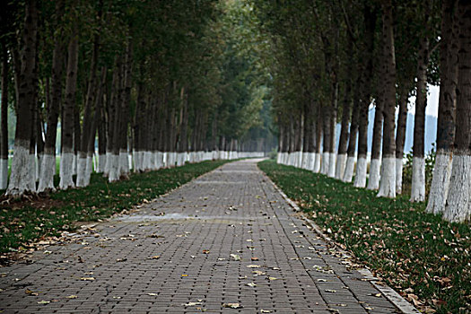 cách đánh đề có lãi