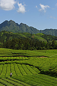 kêt quả vietlott