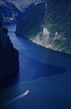 rong bach kim hai nhay
