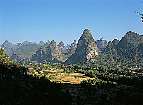 bach thu lo ngay mai