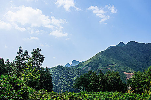 lô dàn 28
