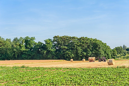 lô đề ngày hôm qua