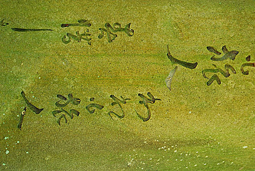 xổ số thành phố 30 ngày