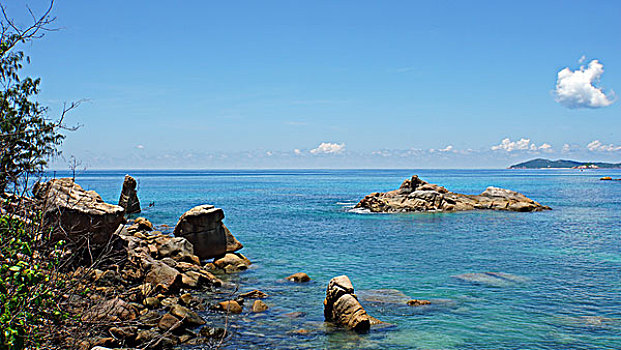 dự đoán soi cầu