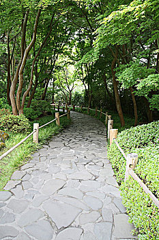 lô đề bạch thủ