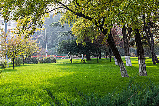 xsmn kết quả xổ số
