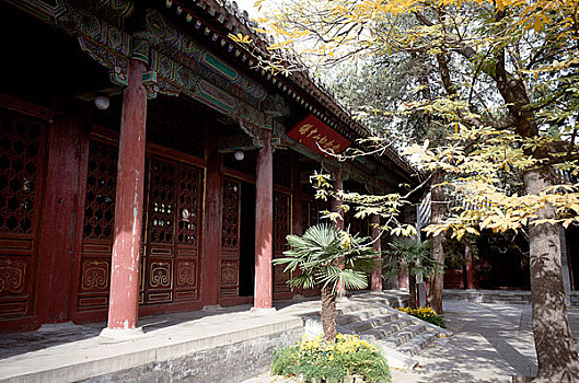 điện toán 123