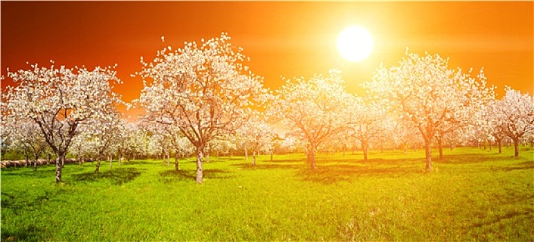 xổ số miền nam thứ 2 hàng tuần