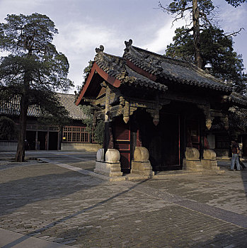 bạch thủ thành phố