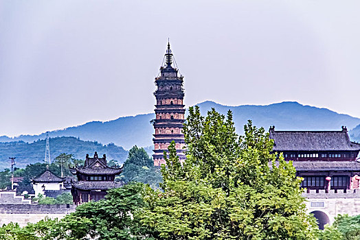 soi cau truc tuyen