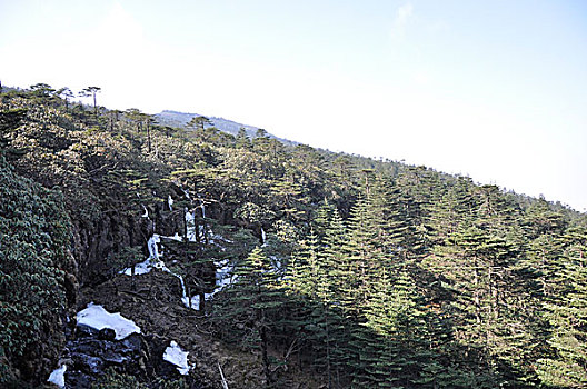 xstgiang