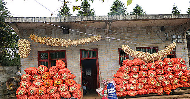 soi cầu lo