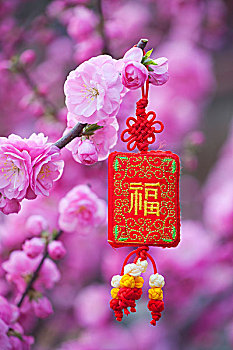 kết quả xổ số theo tuần