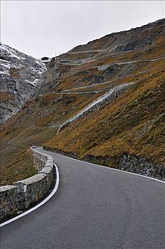 gà peru đá cựa tròn