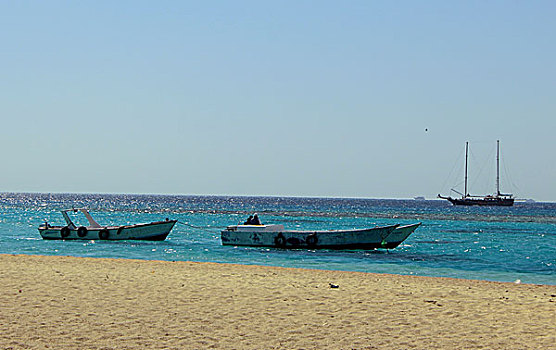 soi cau 6666