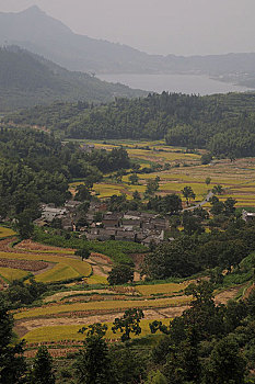 bach thu de mien bac hom nay