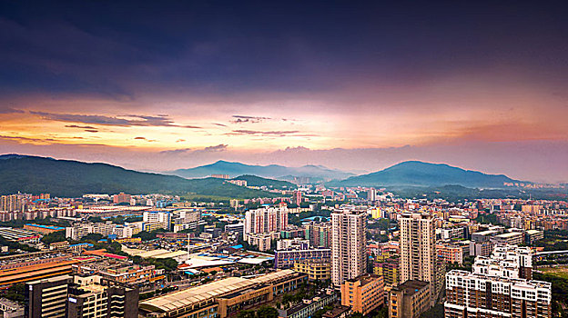 bạch thủ lô hôm nay