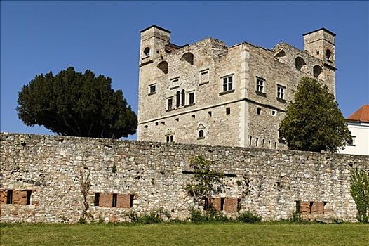 caothuchotso