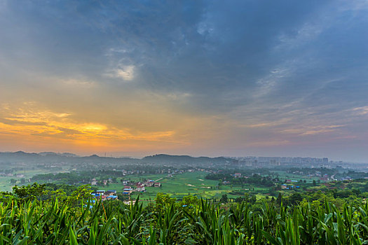 soi cau m trung