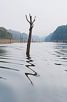 du doan xs quang ninh