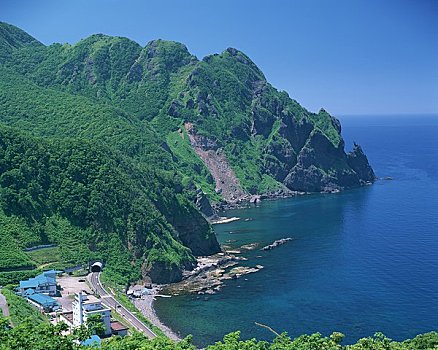 gà png