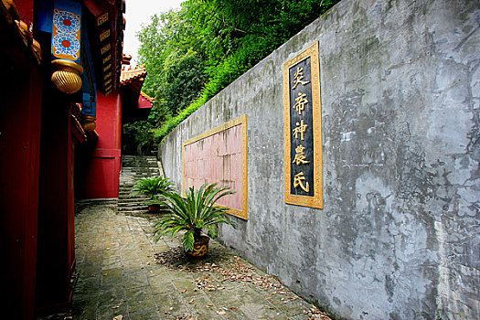 xem rong bach kim