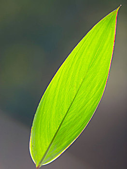 tỷ lệ trực tuyến hôm nay
