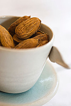 các dàn đề đặc biệt