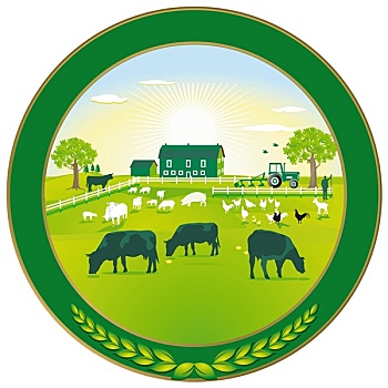 xổ số miền nam chiều nay