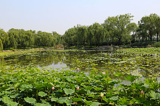 xổ số minh ngọc thứ hai