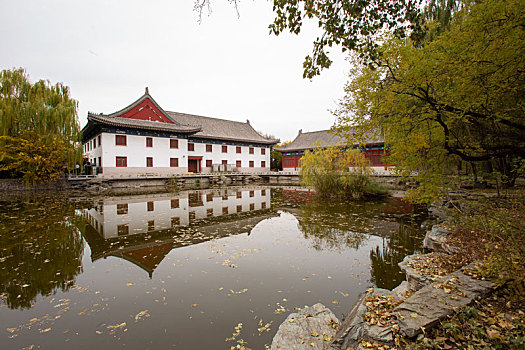dự đoán cầu lô