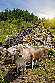 du doan dau duoi mien bac