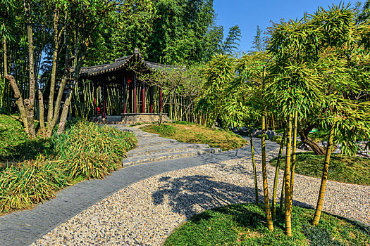xs hau giang