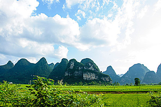 kqxs trực tiếp