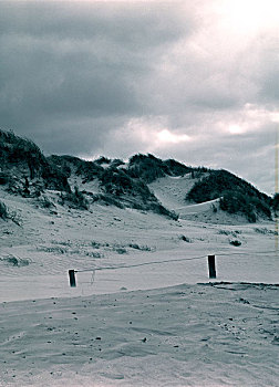 soi lo rong bach kim