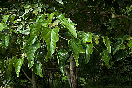 xổ số thứ 6