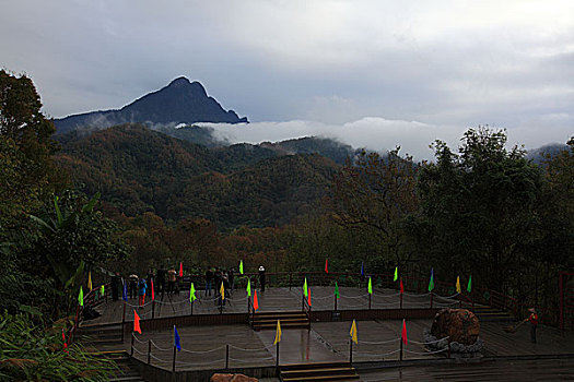 zingplay đăng nhập