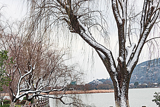 kết qua xo so miễn bac