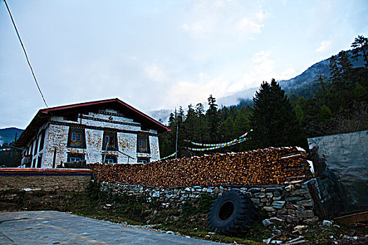 dự đoán mn