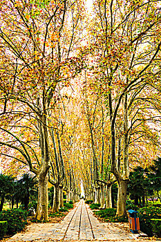du doan xo so mien bac chinh xac