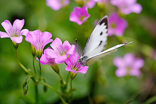 du doan xo so 3 miền
