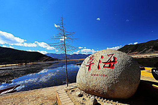 cau bach thu lo
