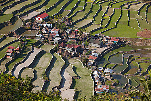 soi cau chuan mjsa