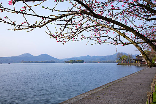 xs quang ninh